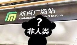 石家庄假食爆料事件视频,揭露食品安全背后的惊人真相