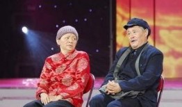 春晚最新爆料台词是什么,台词揭秘，笑点与泪点交织