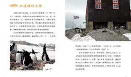 南极最新爆料新闻网站,神秘冰原下的科学发现与探险故事